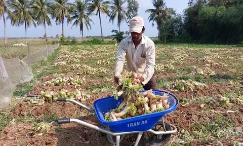 Về miền biển Sóc Trăng thưởng thức món xá pấu