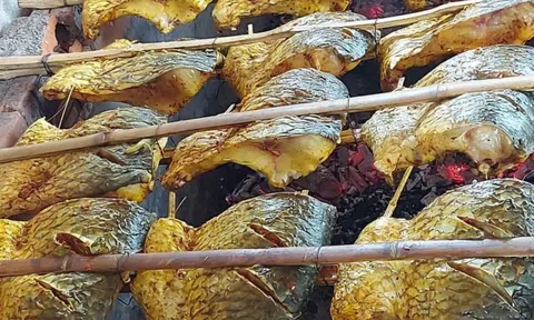 Cá nướng Thái Xuyên: Món ăn quê lên hàng đặc sản Tết