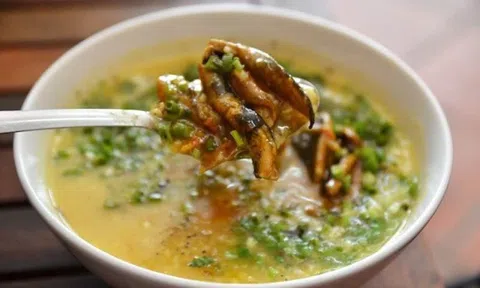 Thỏa mãn với 5 món ăn ngon tuyệt từ hải sản tươi Nghệ An