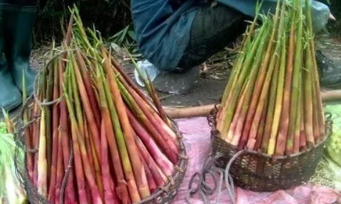 Những món đặc sản Bắc Kạn đừng nên bỏ lỡ