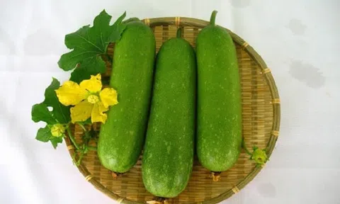 Hè nắng nóng, tăng cường ăn bí đao vừa mát da, thải độc lại giúp giảm cân bất ngờ