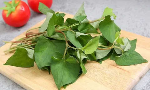 Công dụng chữa “bách bệnh” của rau diếp cá