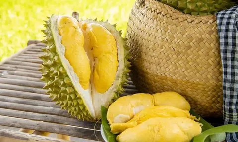 Ăn sầu riêng có nóng không, những ai không nên ăn?