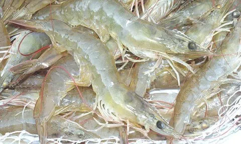 Cách nấu canh chua tôm khế ngon ngọt tự nhiên