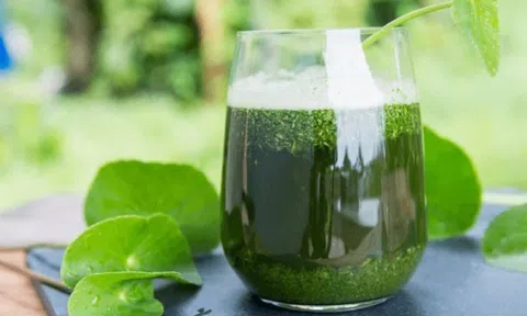 Điều gì xảy ra với cơ thể khi mỗi ngày uống 1 ly nước ép rau má?