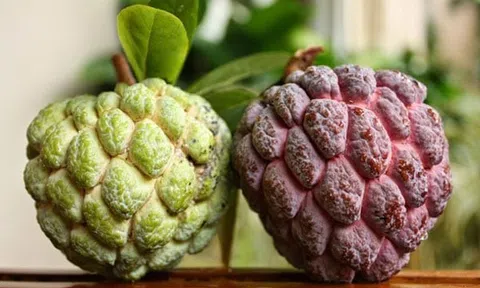 Tác dụng chữa bệnh tuyệt vời của quả na