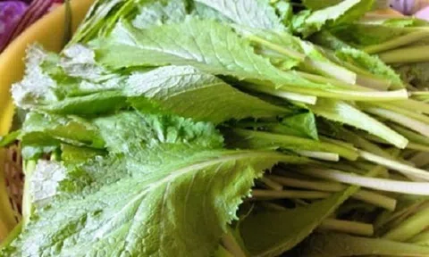 Canh cải thịt băm: Tưởng dễ nhưng lại khó nếu không biết cách nấu này