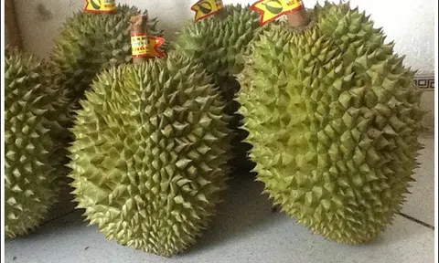 4 cách chọn mua sầu riêng chín già thơm nức mũi