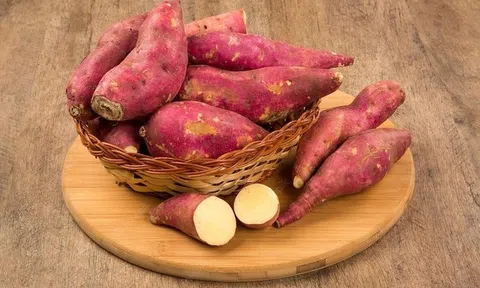 Sự thật khoai lang có thể tiêu diệt hơn 98% tế bào ung thư