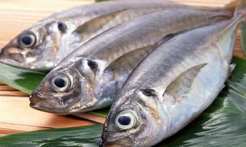 Ăn cá bổ dưỡng nhưng tránh 4 loại có thể gây ung thư