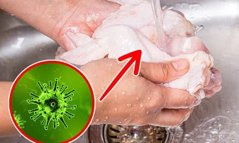 5 sai lầm trong chế biến thịt gà sống vừa gây bực lại còn rước bệnh vào thân