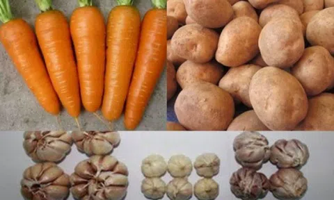 Tuyệt chiêu để phân biệt rau củ Trung Quốc và Việt Nam cho các bà nội trợ