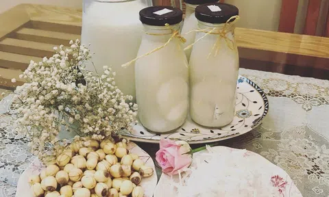 Mùa sen, học cách làm món sữa hạt sen cốt dừa thơm ngậy, mát lành
