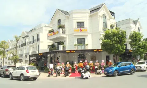 Phở Sạch – Dành cho người Sành