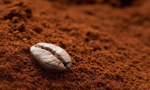 Mẹo phân biệt cà phê thật, giả