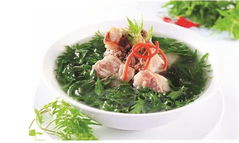 Cách làm những món ngon từ lá đinh lăng