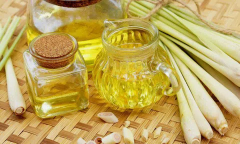 Cách làm tinh dầu sả đuổi muỗi bằng nguyên liệu tự nhiên có sẵn trong nhà