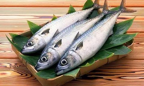 5 cách bảo quản cá tươi lâu không lo bị ươn