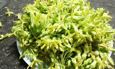 3 món ngon với hoa thiên lý giúp thanh nhiệt, an thần và ngủ ngon